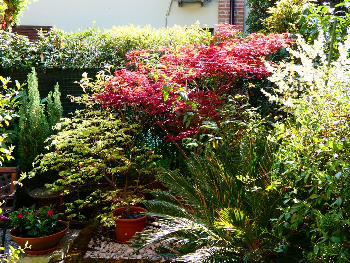 Garden Sweet House Desenzano Desenzano del Garda Exterior foto